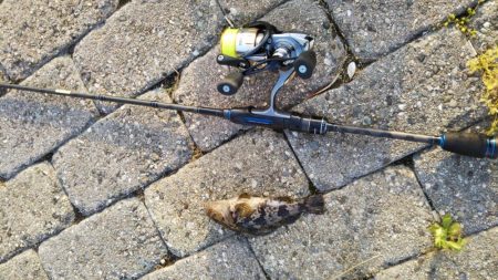 つかの間の日中ショートゲーム