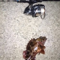 梅雨の合間にメバリング