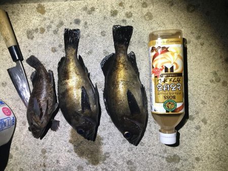 サンキューラブリーメバルちゃん