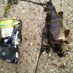 デイでのタケノコ狩り