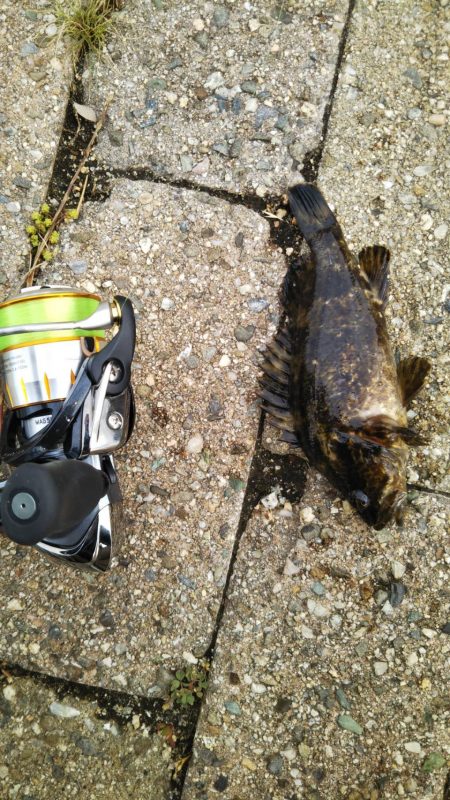 デイでのタケノコ狩り