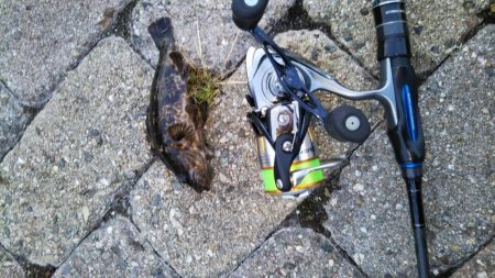 本気のタケノコ狩り