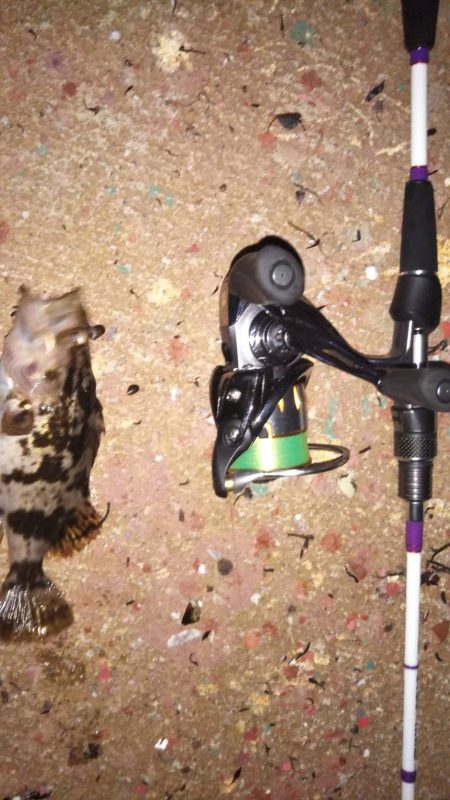 本気のメバリング〜明石〜