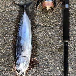 ショアジギング