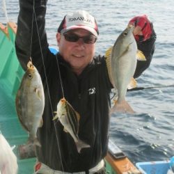 土佐安芸のハマちゃん