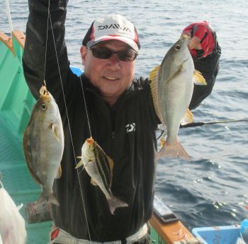 土佐安芸のハマちゃん