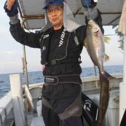 土佐安芸のハマちゃんの釣果