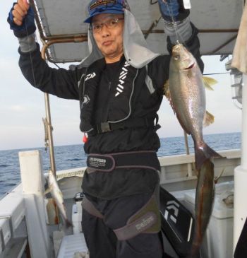 土佐安芸のハマちゃんの釣果