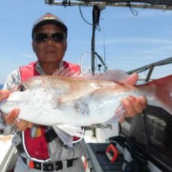 土佐安芸のハマちゃんの釣果