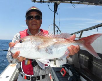 土佐安芸のハマちゃんの釣果