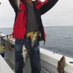 土佐安芸のハマちゃん