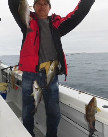 土佐安芸のハマちゃん