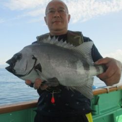 土佐安芸のハマちゃんの釣果