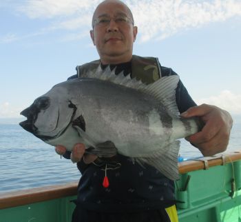 土佐安芸のハマちゃんの釣果