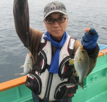 土佐安芸のハマちゃんの釣果