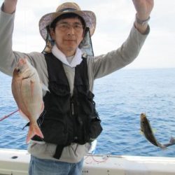土佐安芸のハマちゃんの釣果