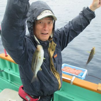 土佐安芸のハマちゃんの釣果