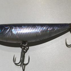 バス用ペンシルで