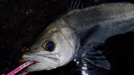 大潮の甲子園浜　６本