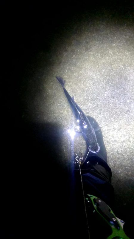 いい流れ、いいポイントで