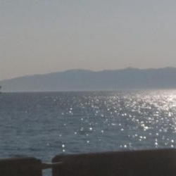 メジロサイズまでいかない