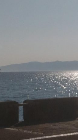 メジロサイズまでいかない