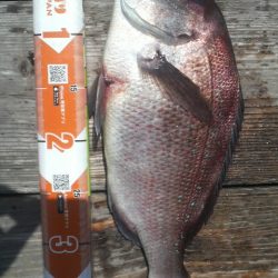 選択ミス？実力不足？