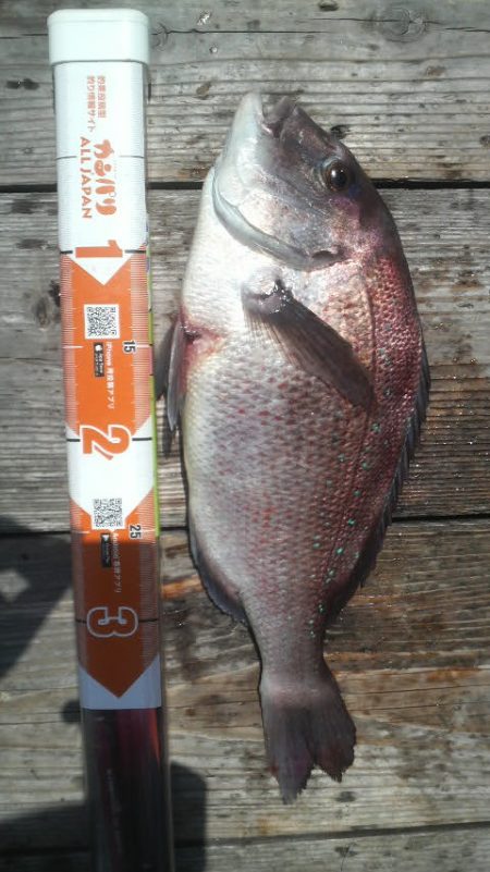 選択ミス？実力不足？