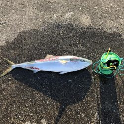 メータージャストブリ