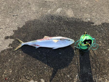 メータージャストブリ