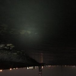 淀川チニング劇シブ&持ち主探してます!