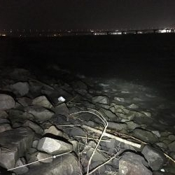 淀川チニング&持ち主探してます!