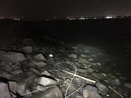 淀川チニング&持ち主探してます!