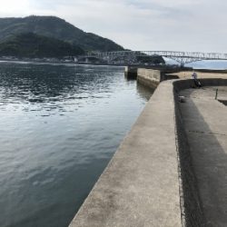 玉には餌でのんびりと