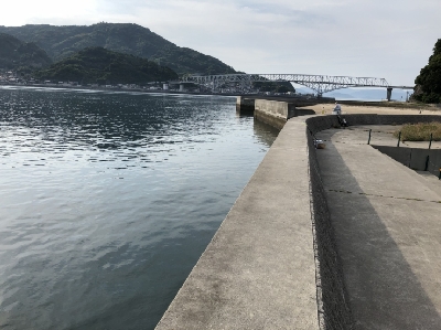 玉には餌でのんびりと