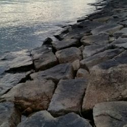 シーズン終了前に