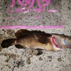 まさかのクエ！