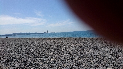 バイブでタコが釣れたので