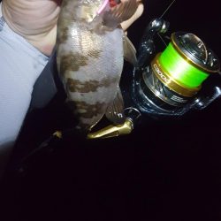 良いサイズが出ない！