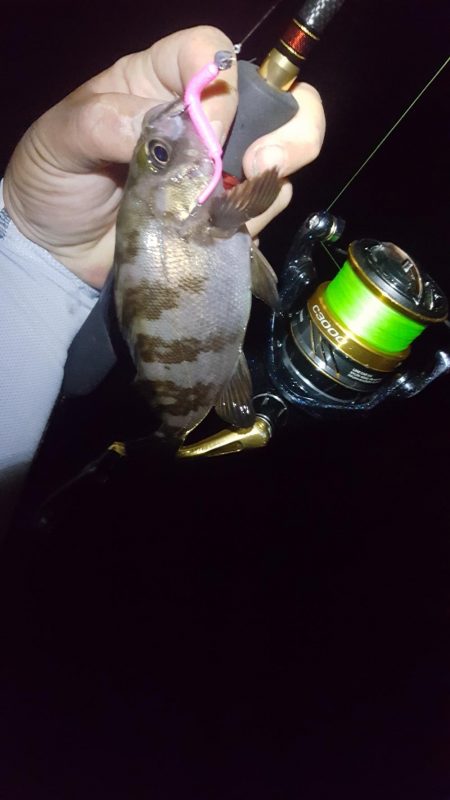 良いサイズが出ない！