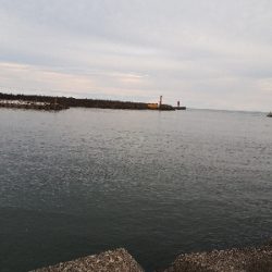 夜釣りでメバル❗