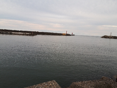 夜釣りでメバル❗