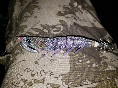 ヤリイカを釣りに…