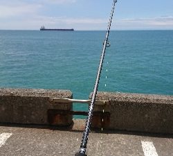 これは…、一体！？（´ 3｀)