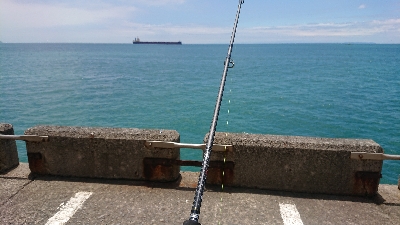 これは…、一体！？（´ 3｀)