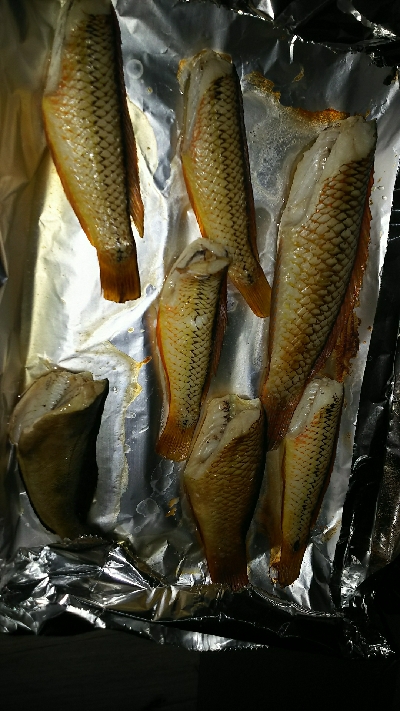 ベラが接岸していない