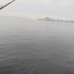 初ライトワインドでガシラ爆釣