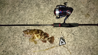 タチウオ狙いで阿賀マリノ