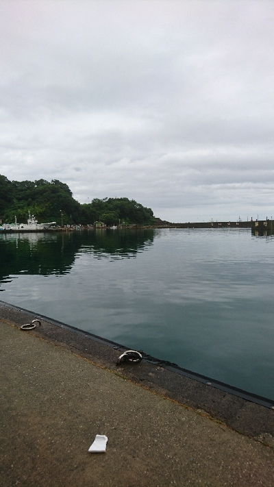 今年初のキス釣り