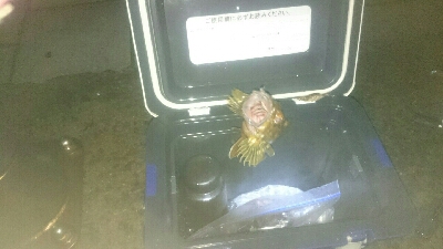 gashiland 2 ~endless rain~